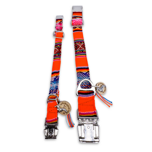 PEPE in Orange Happy Hour - Verstellbares Hundehalsband LIMITED EDITION