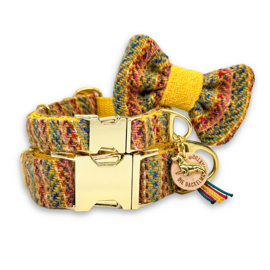 ZIGGY in Solar Pop - Harris Tweed® Halsband-Set mit Fliege