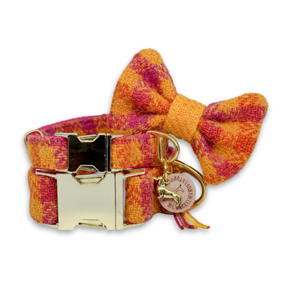 LOTTI in Tutti Frutti - Harris Tweed® Halsband-Set mit Fliege