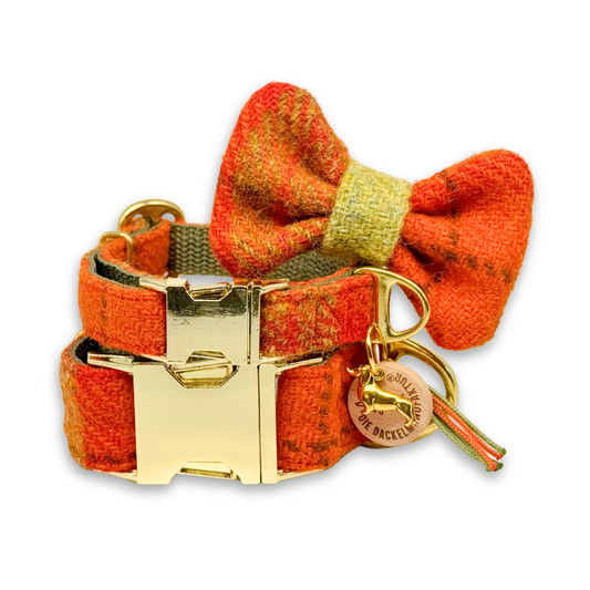 Paulchen in Cozy Fall - Harris Tweed® Halsband-Set mit Fliege