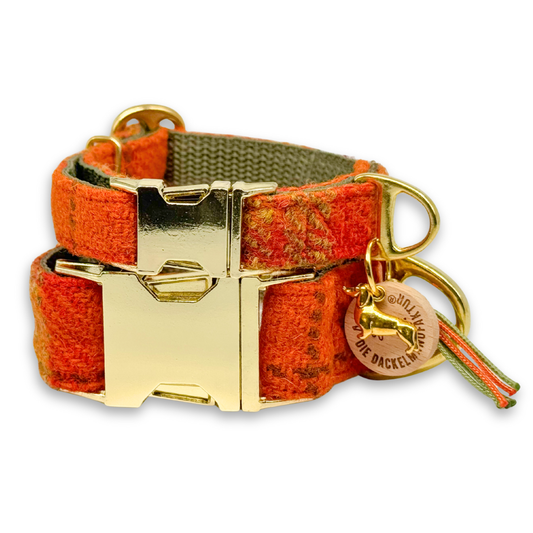Paulchen in Cozy Fall - Harris Tweed® Halsband