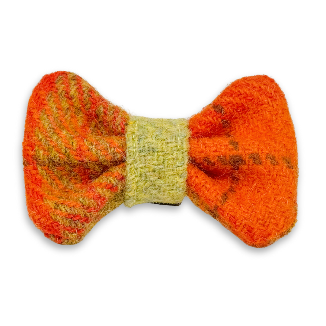 Paulchen in Cozy Fall - Harris Tweed® Halsband-Set mit Fliege