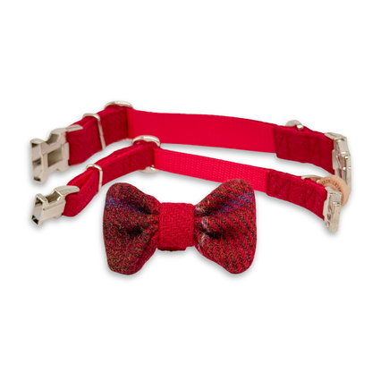 FLOCKE in Kaminfeuer - Harris Tweed® Halsband-Set mit Fliege